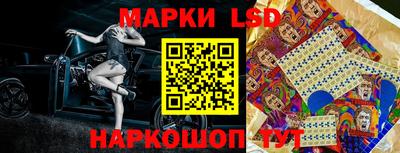 apvp Тулун